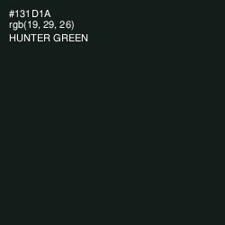 #131D1A - Hunter Green Color Image